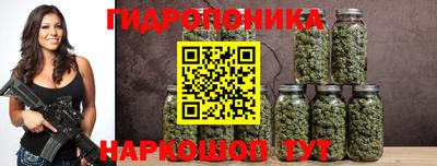 дмт Моздок