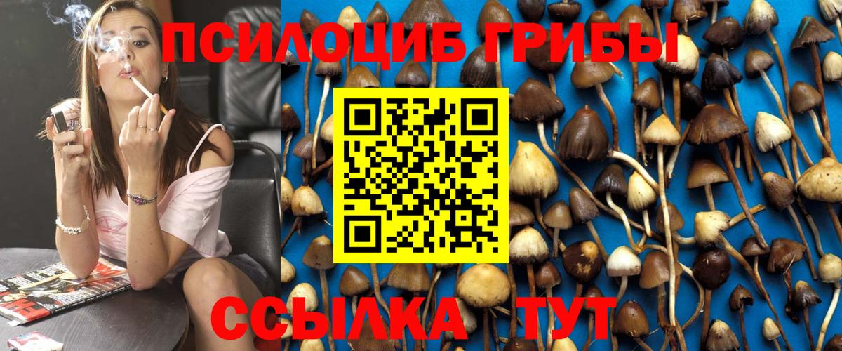 Псилоцибиновые грибы MAGIC MUSHROOMS  Вход с VPN  Холмск 