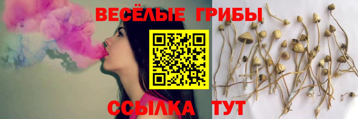 Псилоцибиновые грибы ЛСД Холмск
